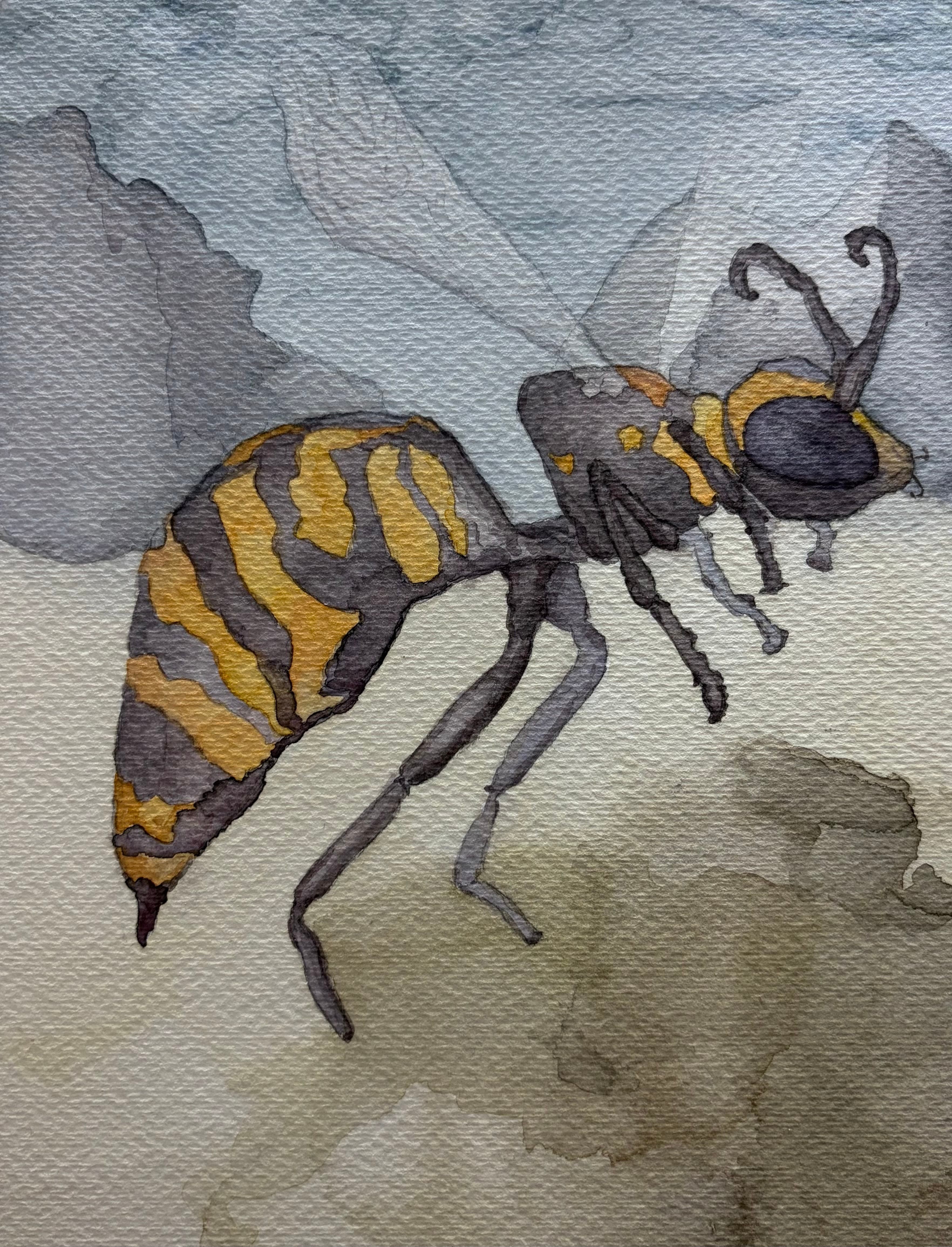 The Bite II — Watercolour on paper by Costa Belik